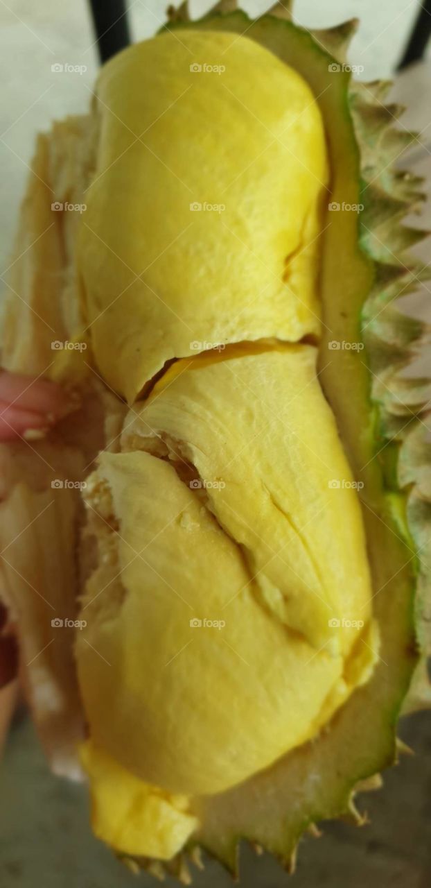 Thai fruit durian