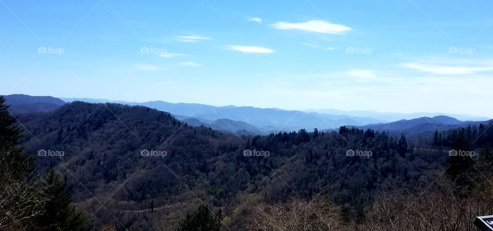 Breathtaking panoramic sweeping views of vibrant blue skies of the Great Smoky Mountain national park/forest with rolling clouds over North Carolina & Tennessee, Newfoundland Gap.