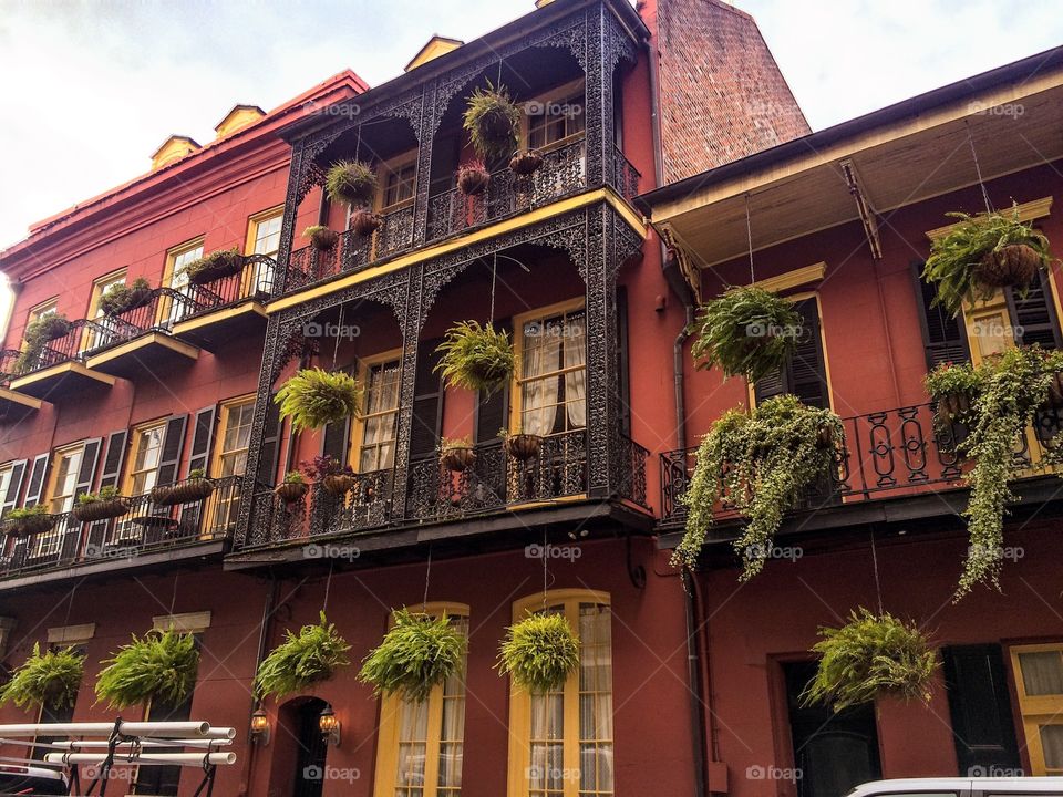 Hanging baskets in New Orleans
