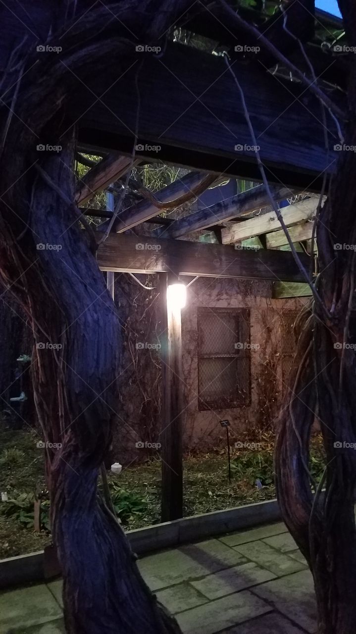 haunting shack