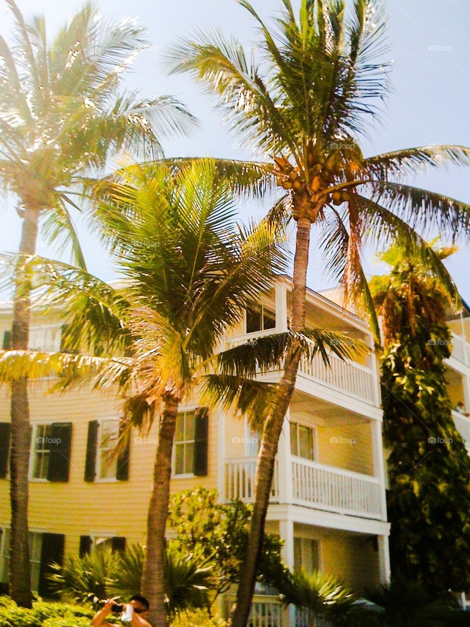 Key West House and trees