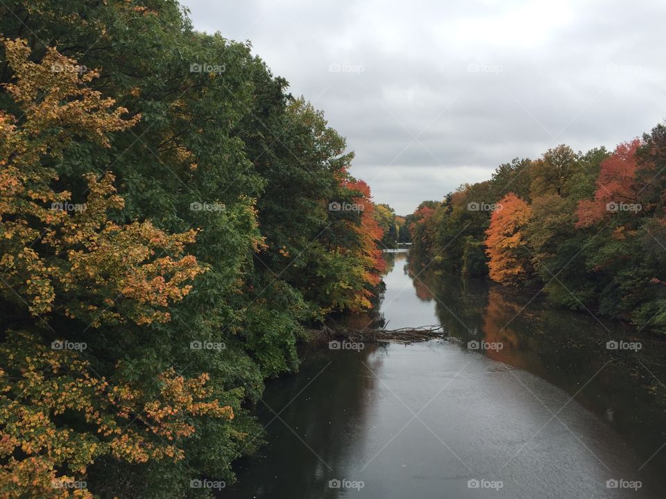 Fall. Bronx River. The Bronx
