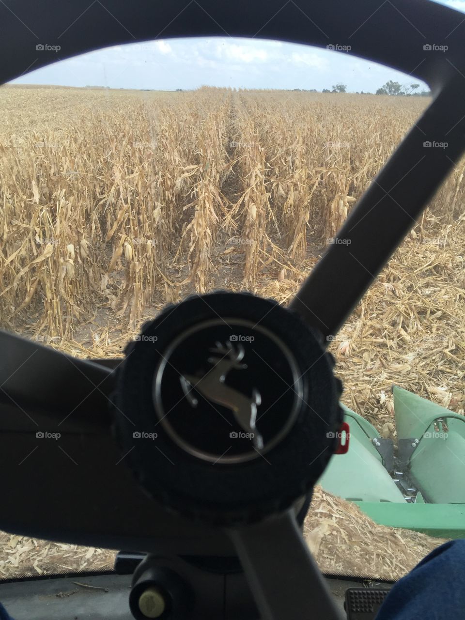 Corn harvest 2015. Pickin our crop