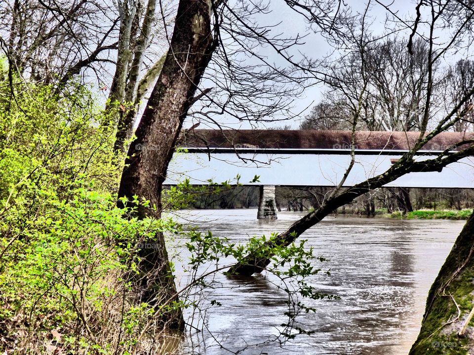 Spring day and the covered bridge 
