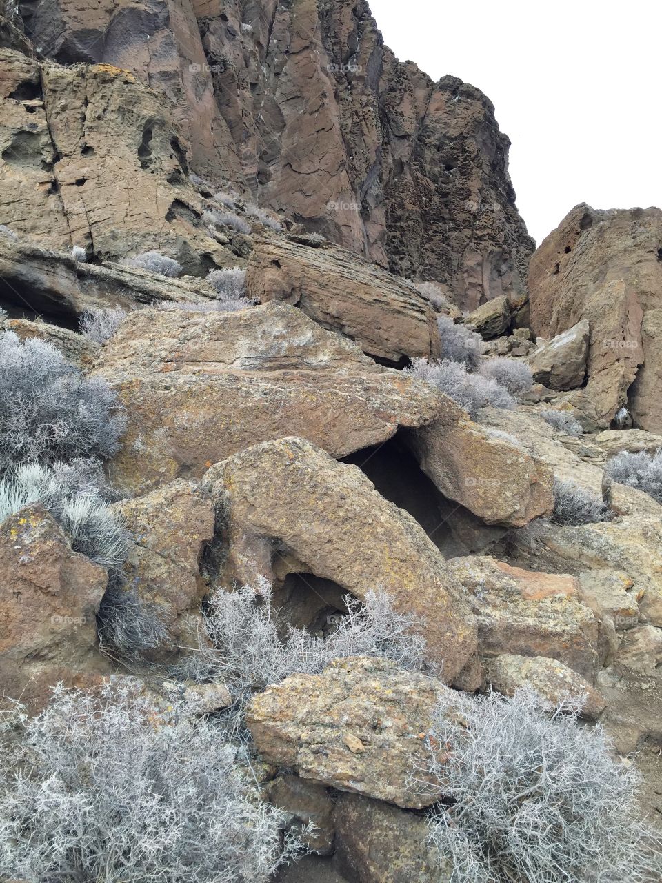 Giant boulders with frost covered brush on the sides of Fort Rock on a cold winter day in Oregon. 
