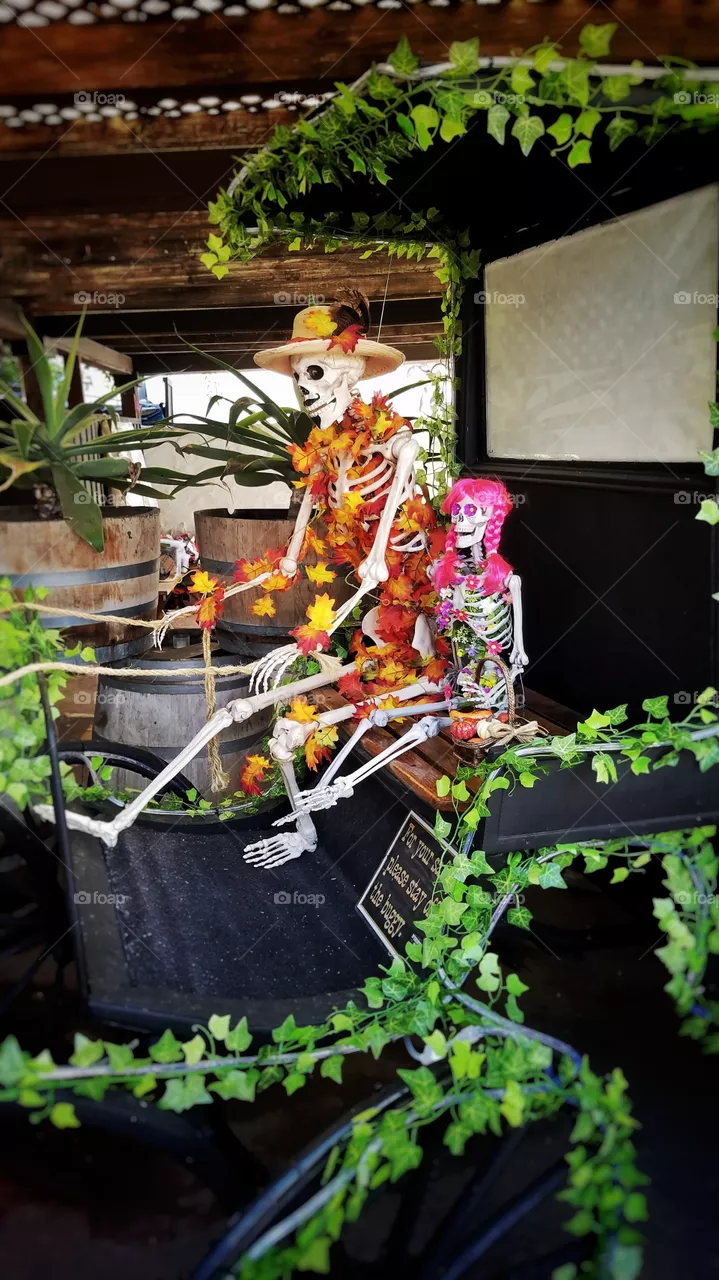 Chariot