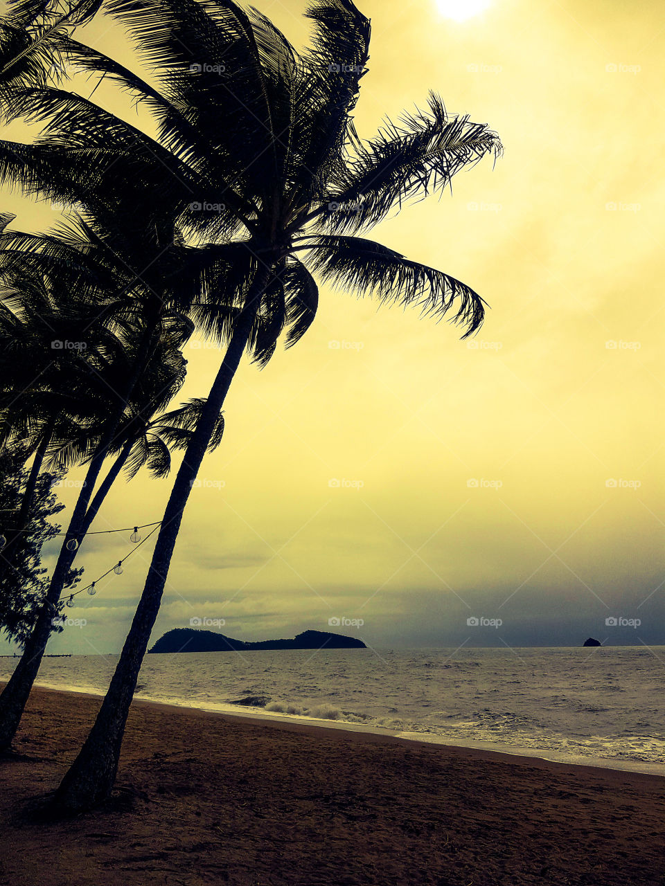 palm cove beach view (2)