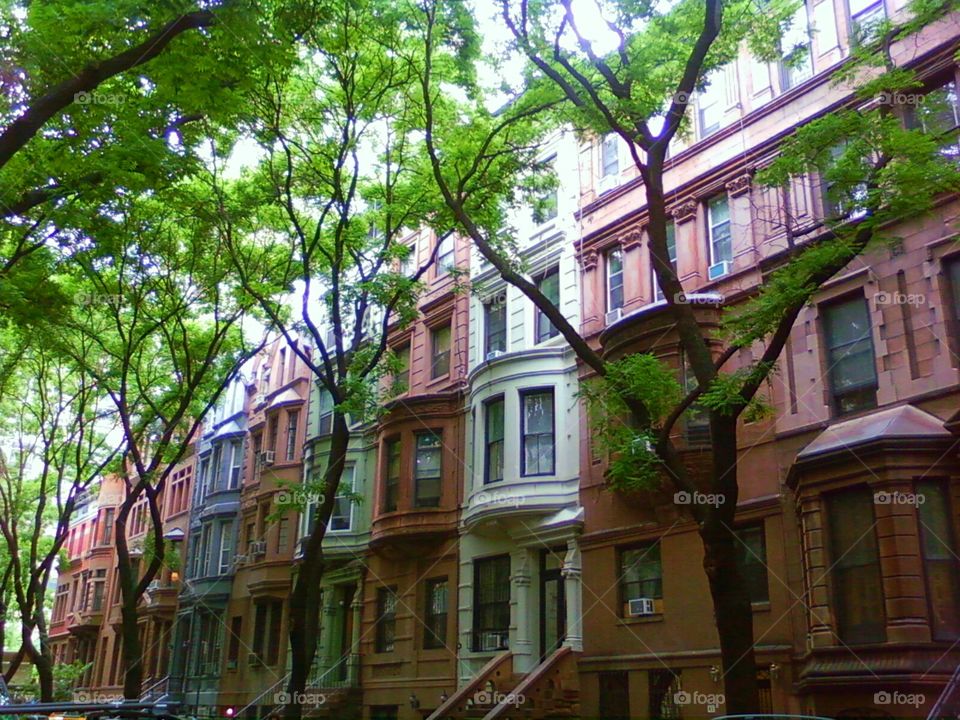 Brownstone buildings on tree lined street in New York City