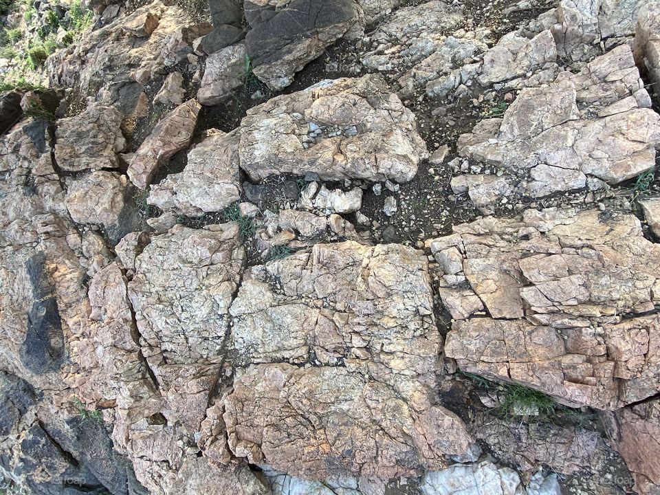 Amazing photo for desert 🌵