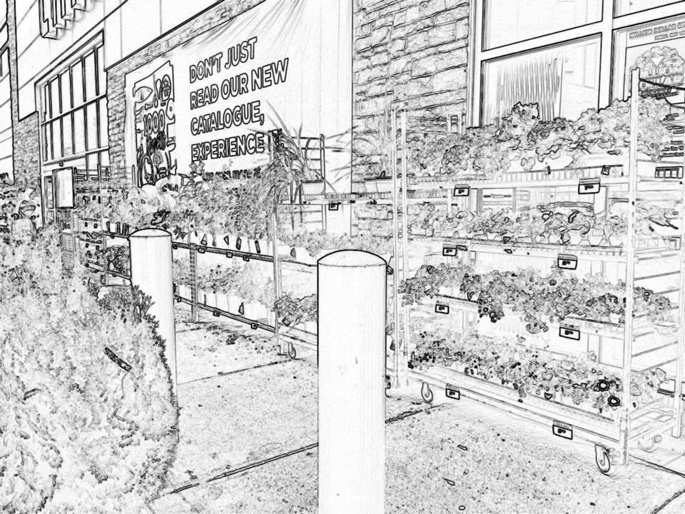Sketch - Garden Centre 
