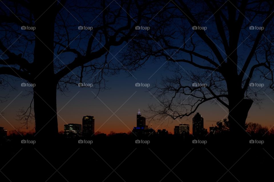 Foap, Day and Night: Pre-dawn twilight view of the Raleigh North Carolina skyline a scene from Dorothea Dix Park between two massive oak trees. 