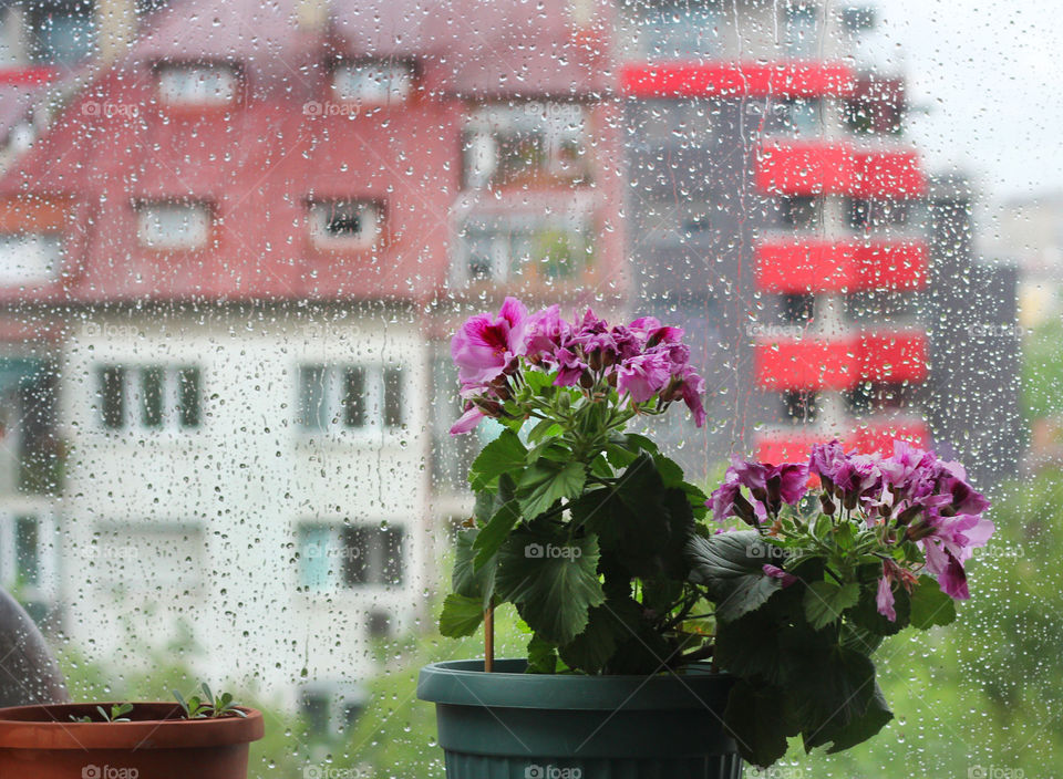 Raining day outside the window