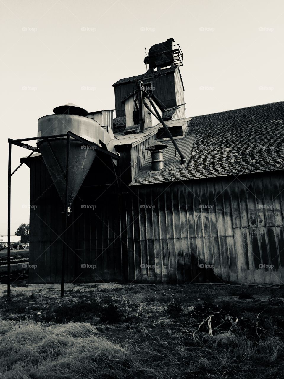 A black and white version of an aloe abandoned factory 