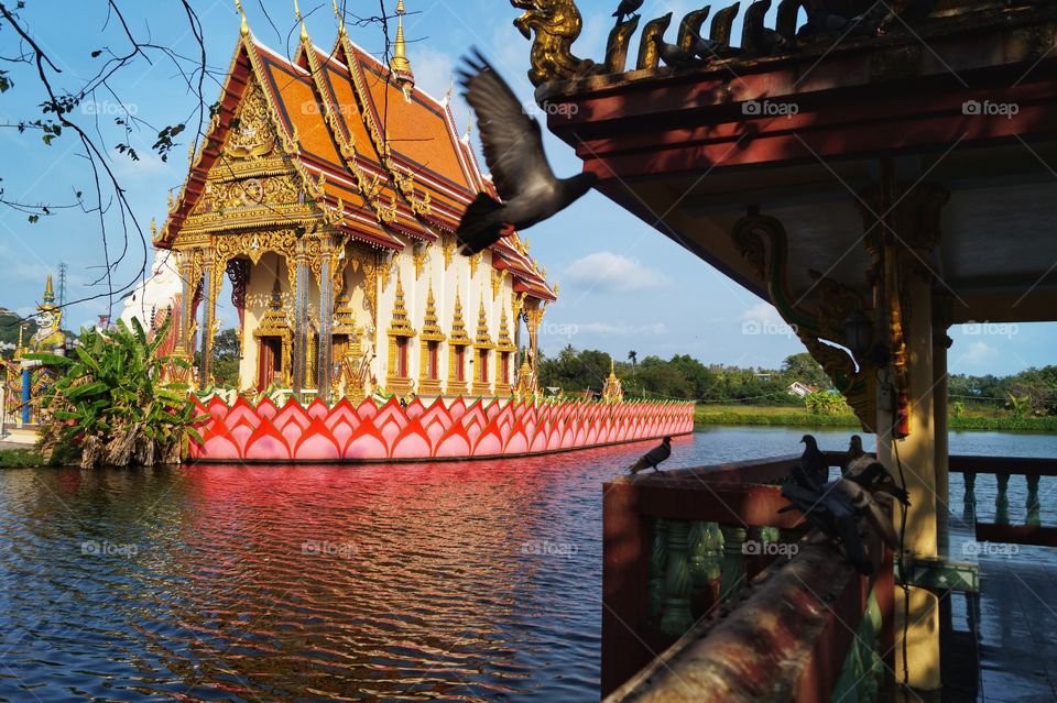 Koh Samui temple