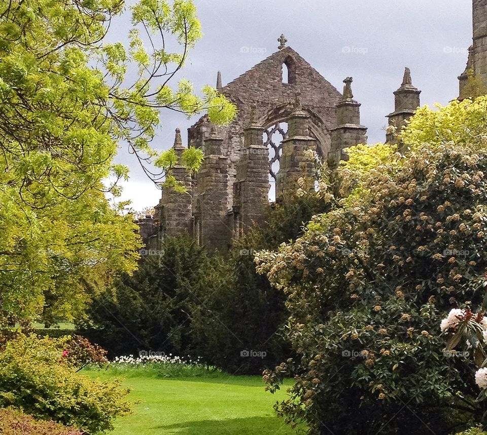 The Abbey in the Garden. A snap of the ruins of Holyrood Abbey, in the beautiful grounds of the Palace of Holyroodhouse in Edinburgh, Scotland.