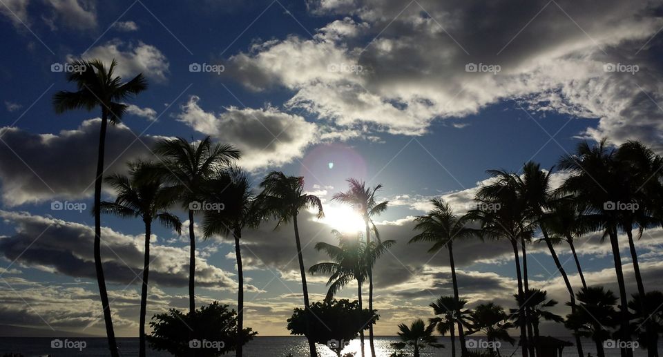 Sunset in the cloud. Sunset in the cloud