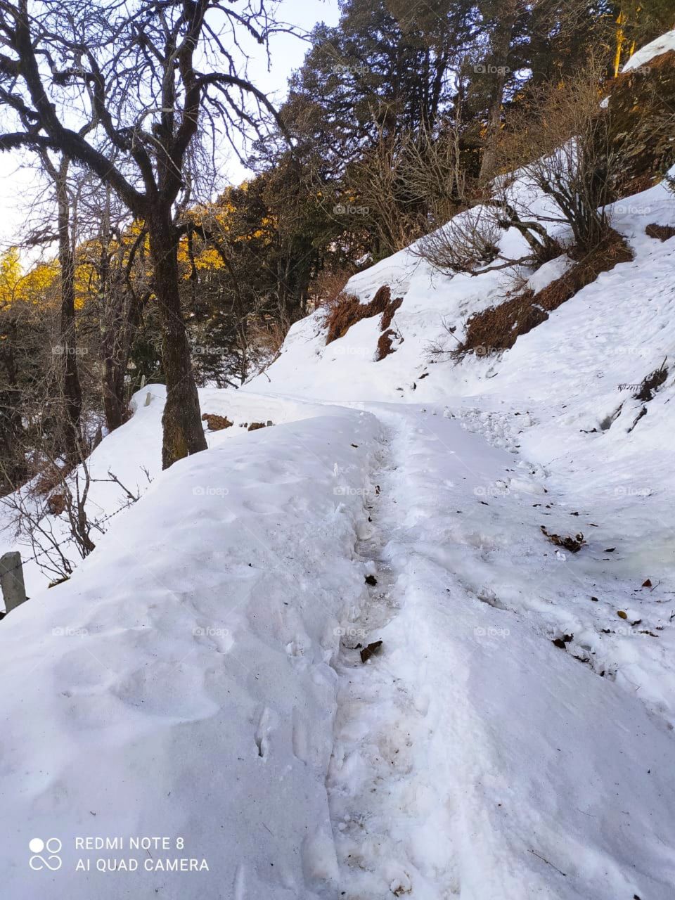 Hatu peak is located in Shimla district of Himachal Pradesh, India at an elevation of 3400 m above sea level. The peak is surrounded by dense forest of conifers, oaks and maples.
