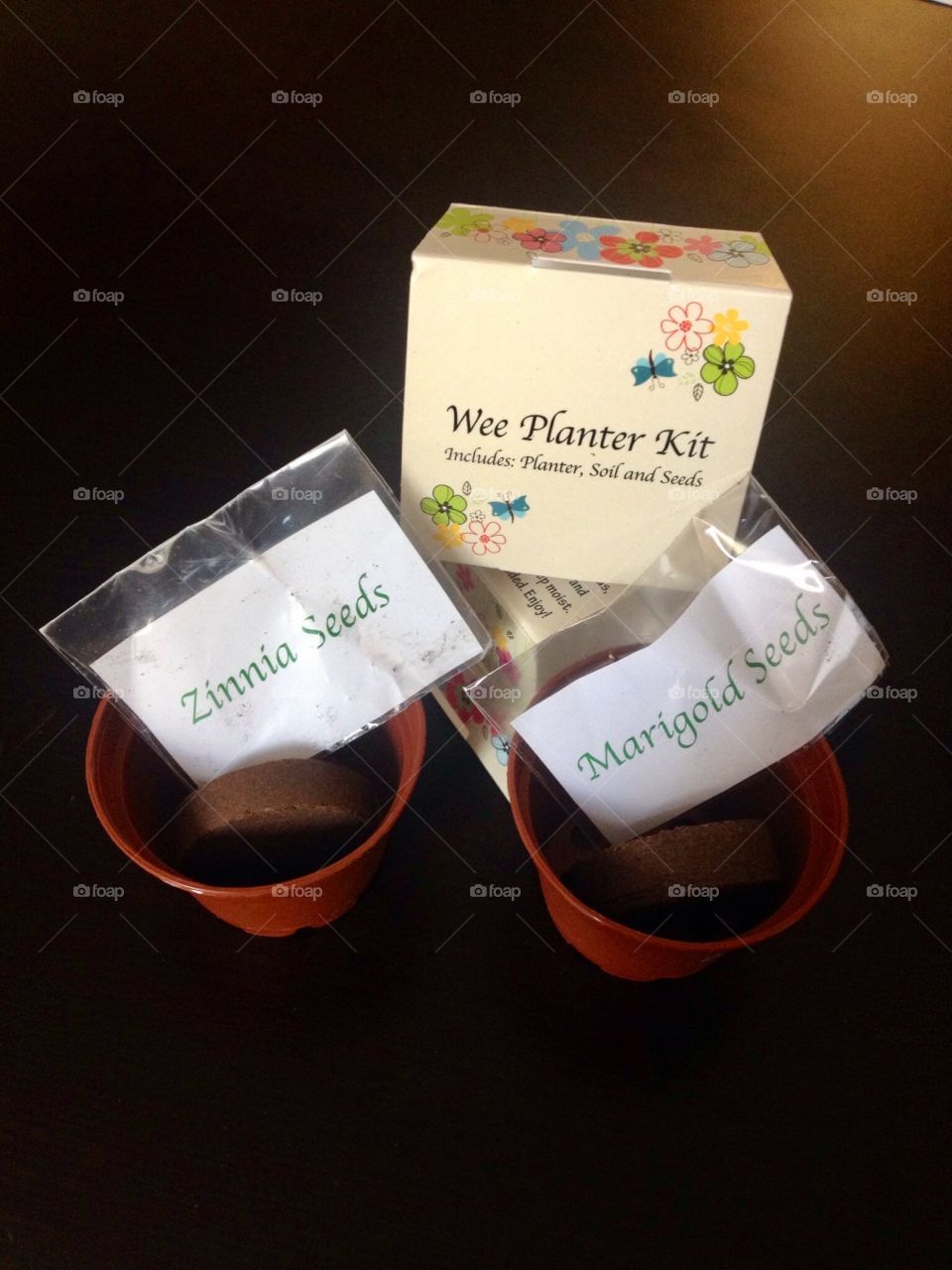 Spring flower planting