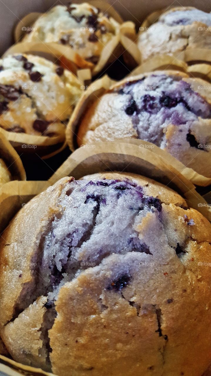 Fresh baked muffins