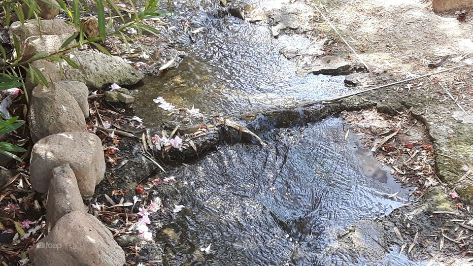 Summer stream in Cagliari, Italy