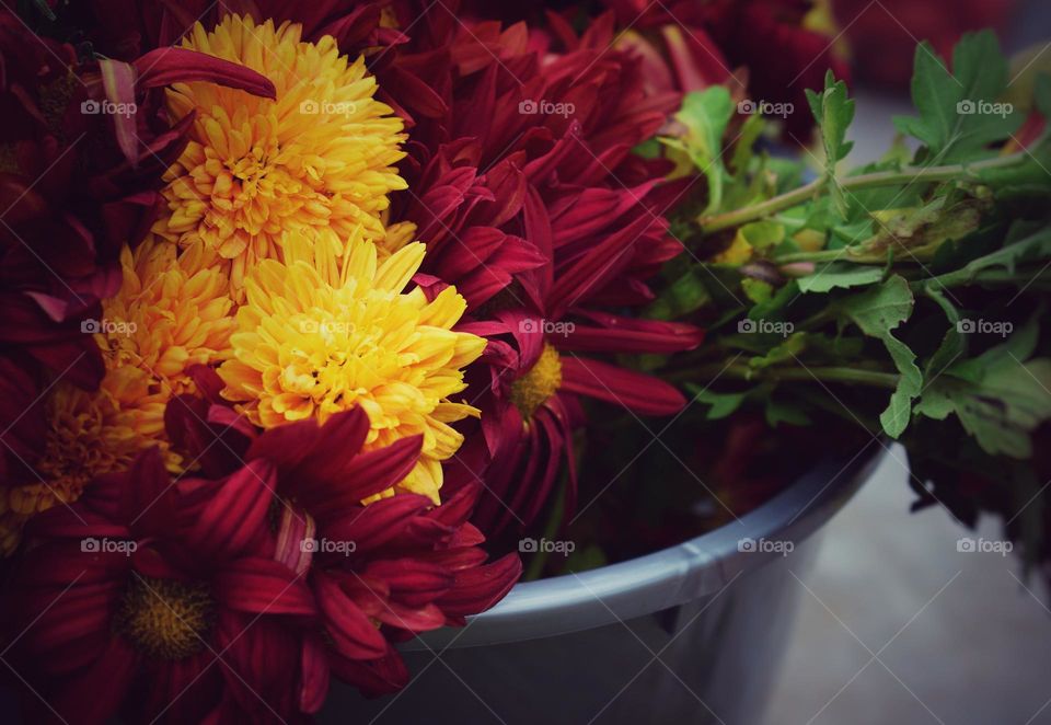 Vintage flowers detail