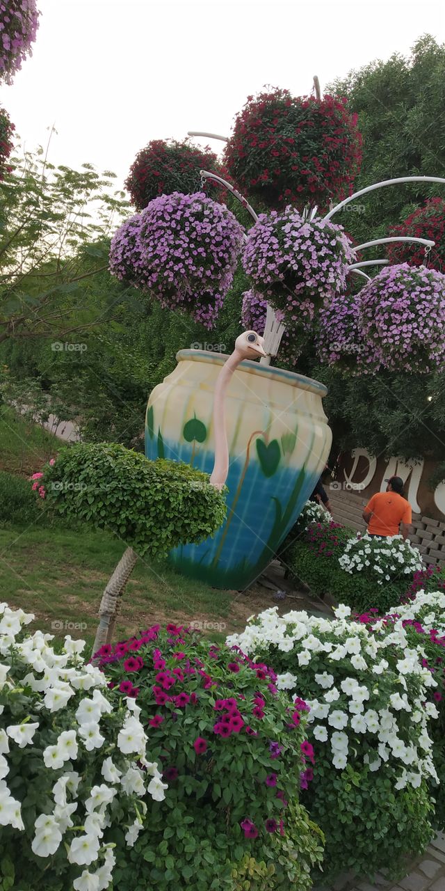 editors' choice: photo of the week