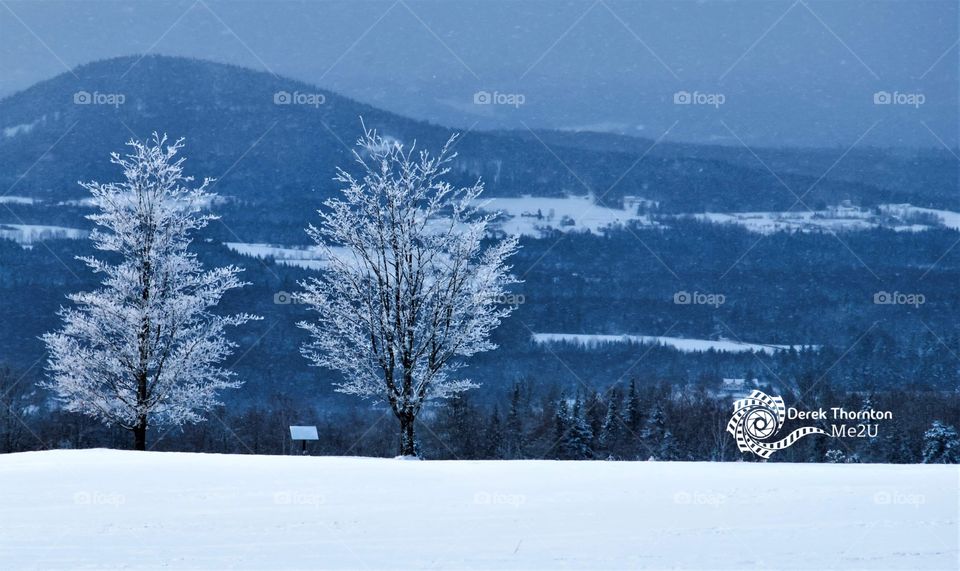 overlooking westmore, VT shot on my nikon D3000 at 35mm

rime ice coating trees in a winter wonderland.

#blue #snow #winter #ice #travel