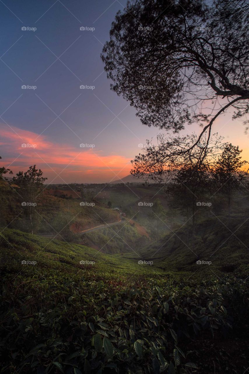 Colorful natural of Cukul Tea Garden awaits you.