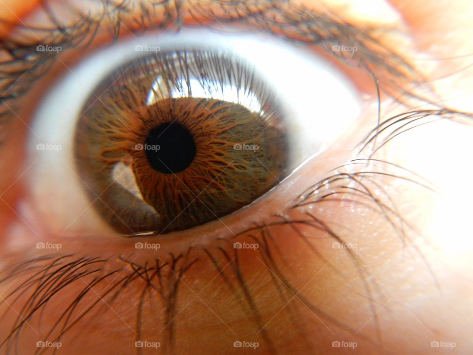 close-up of human eye with details of light brown iris