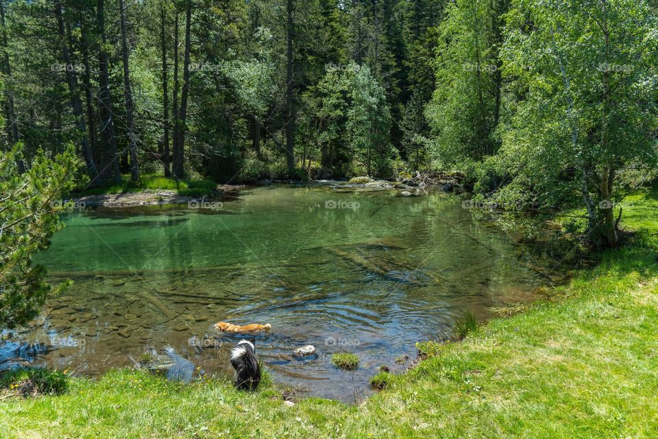 hermoso río en los pirineos