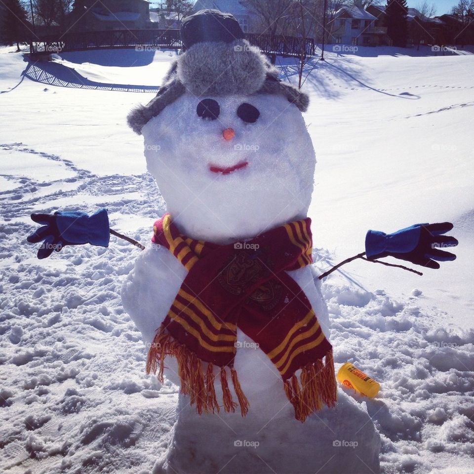 Mr. Snowman