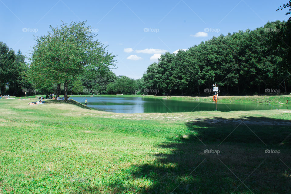 Golf, Landscape, Tree, Grass, Park