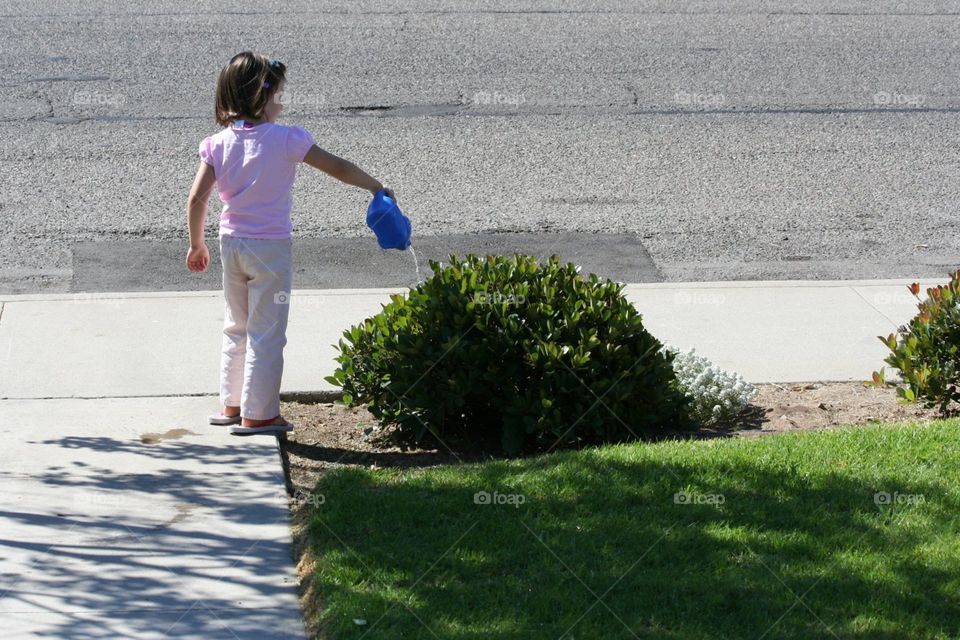Watering the bushes. Small child watering the front yard bushes