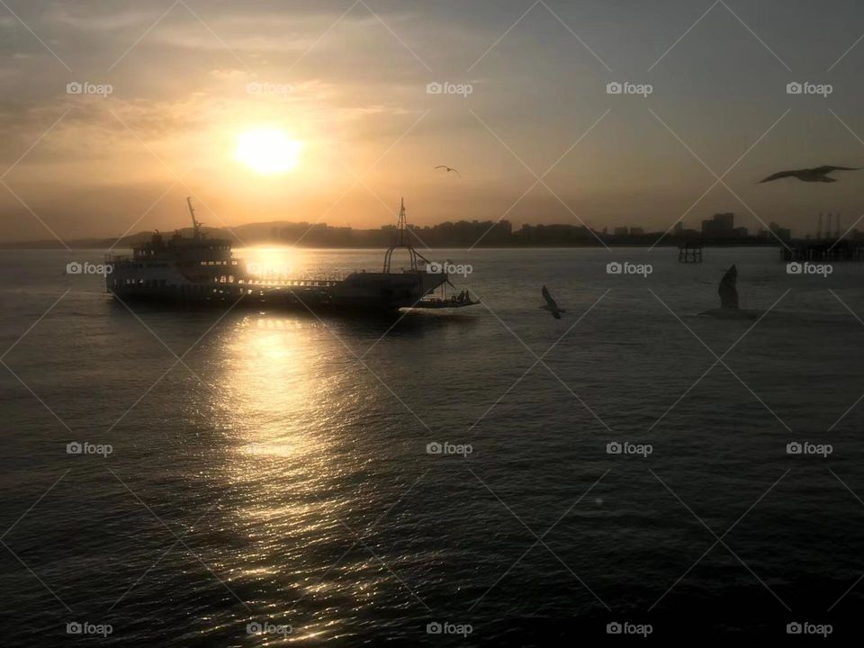 Seagulls and boat in the sunset