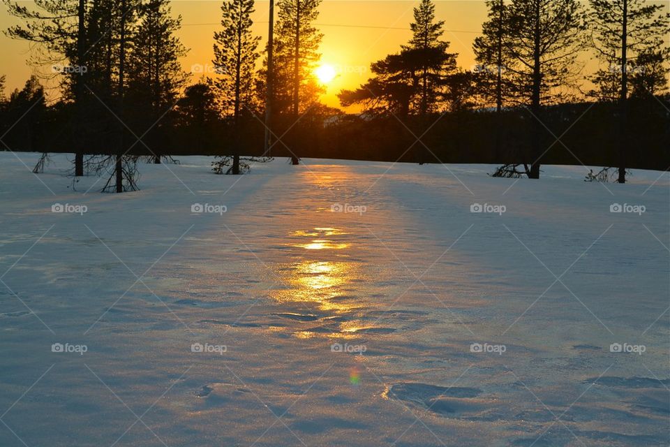 Sunset refex winter