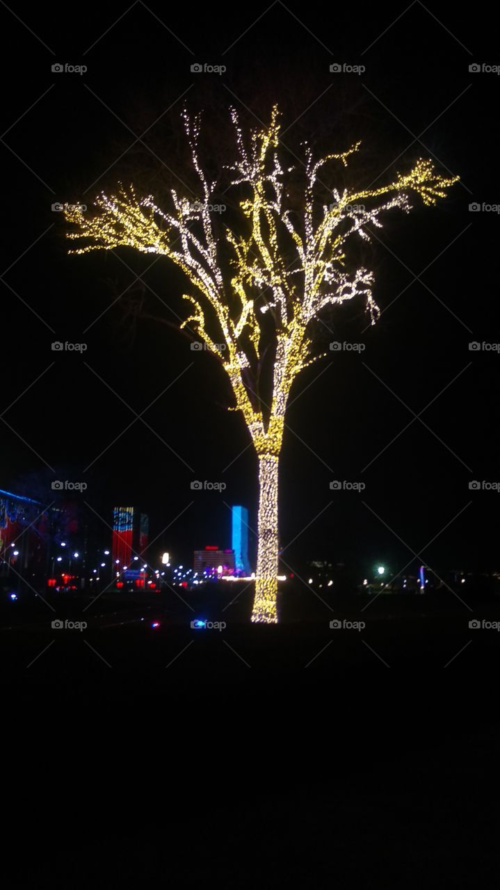 Lighting Tree