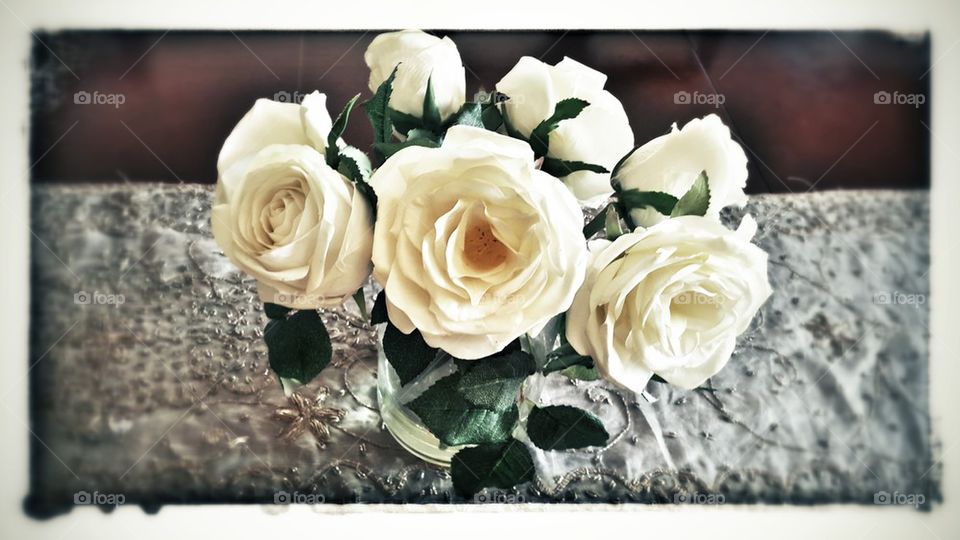 white Roses