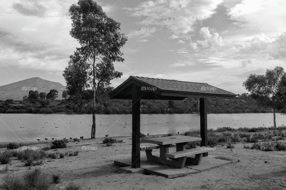 Picnic area beside a eucalyptus on the shore of Lake Murray, La Mesa, CA.