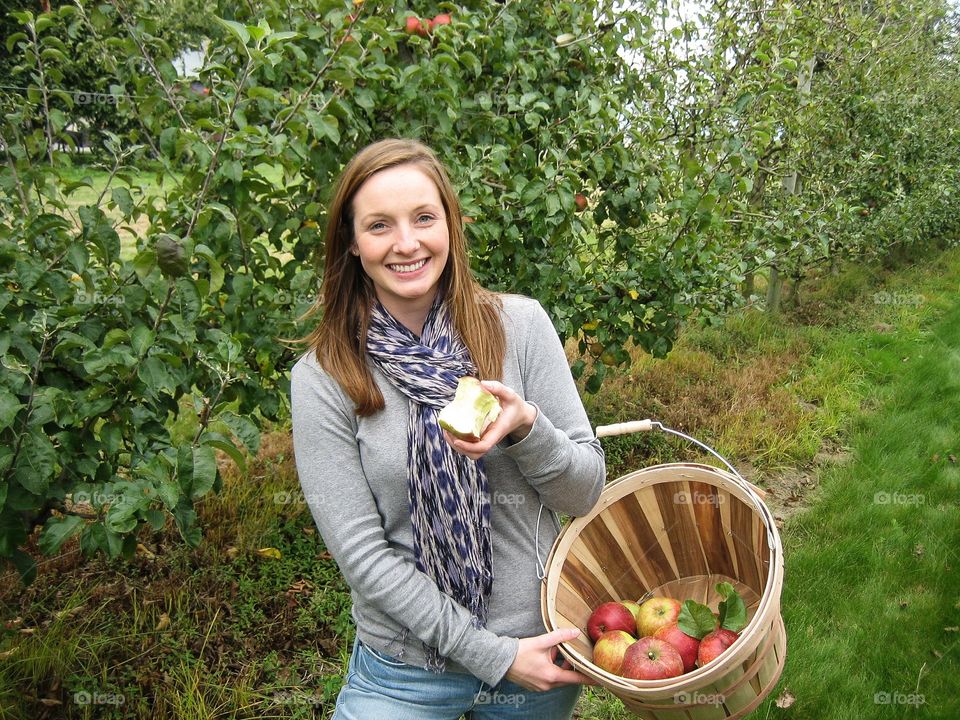 Picking apples