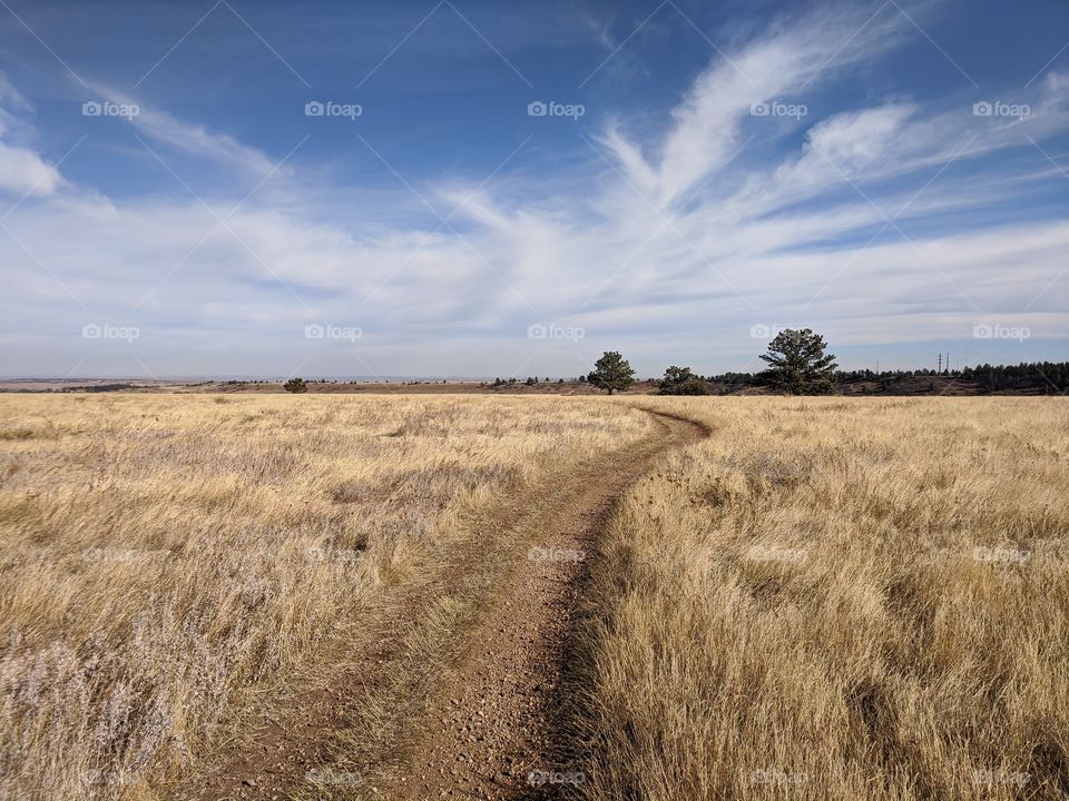 Gravel trail through golden grass