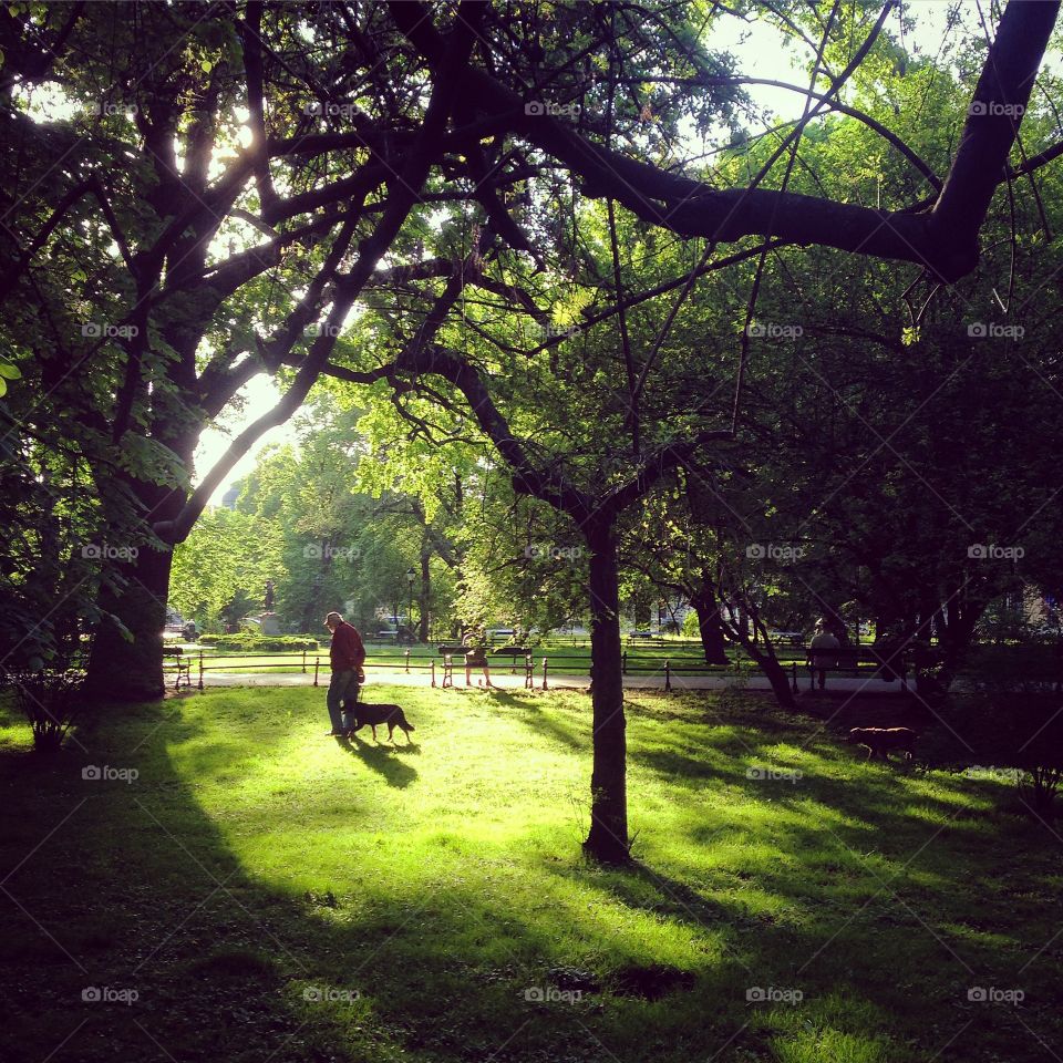 Spring in Cracov. Green everywhere 