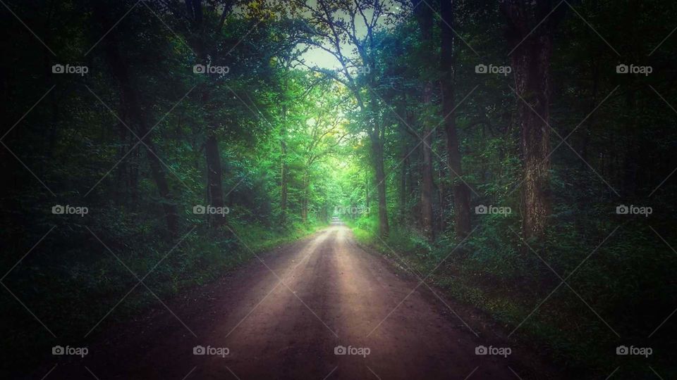 The road less traveled
