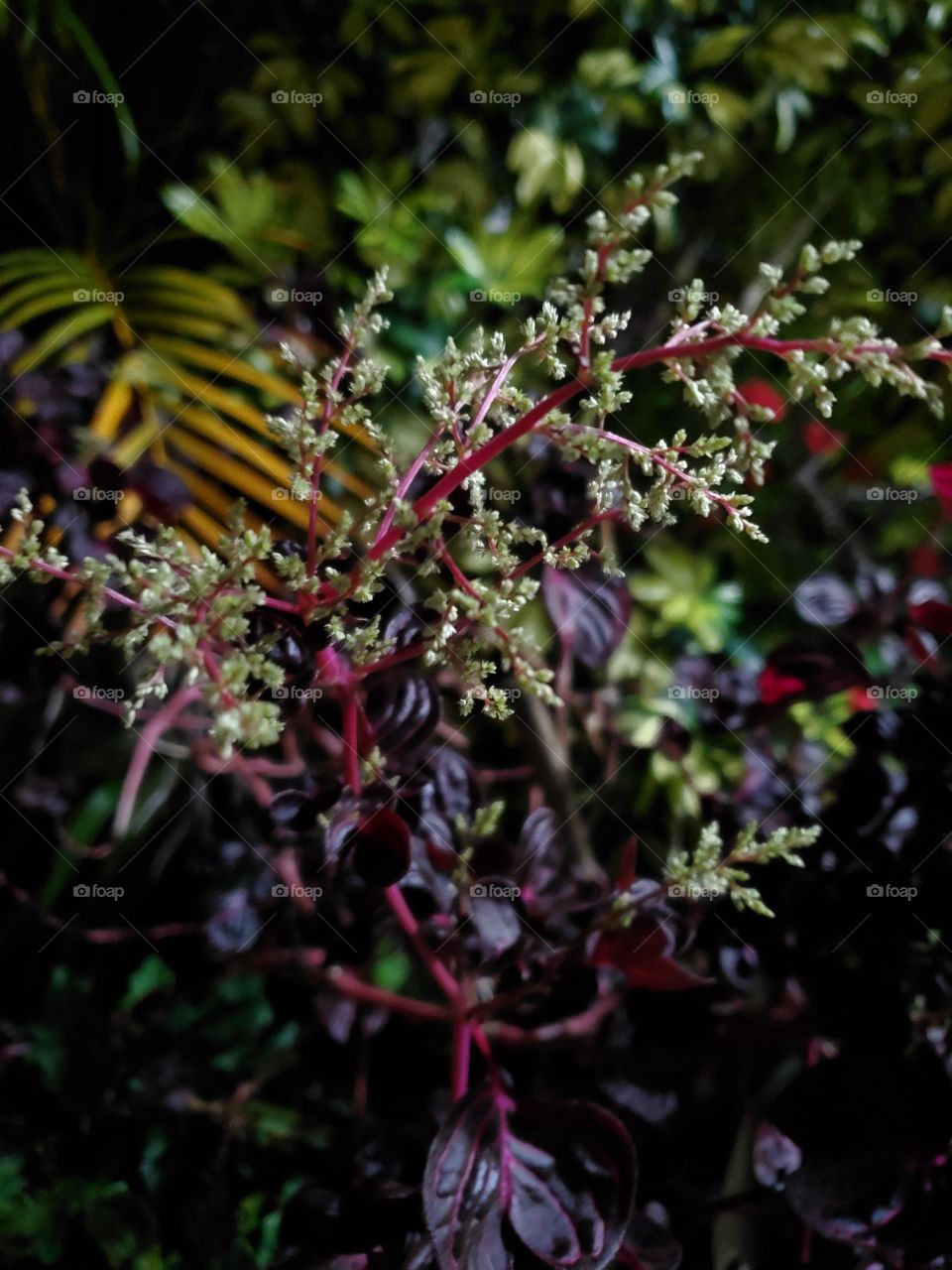 wonderful mother nature