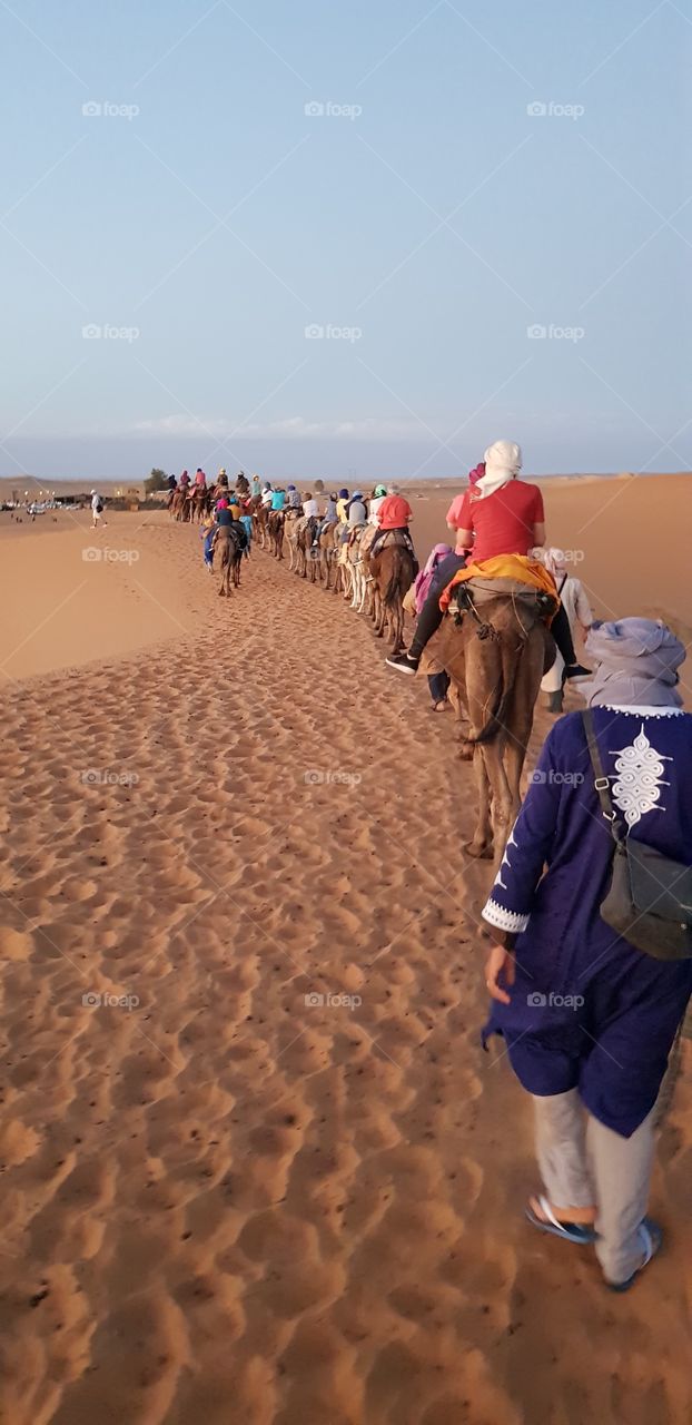 Deserto do Saara