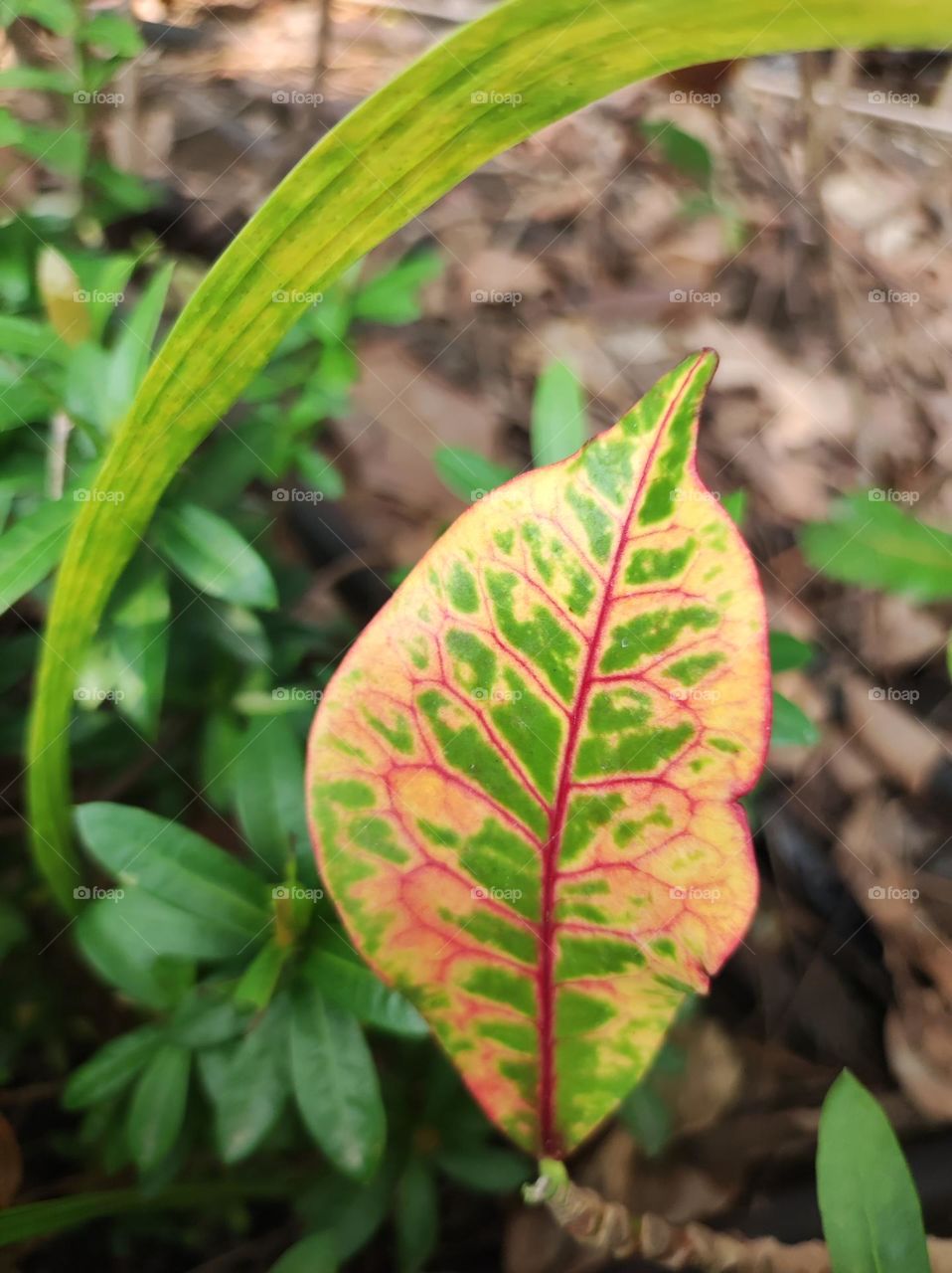 Part of beautiful nature around the corner