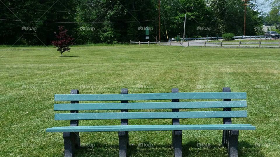 Park Bench