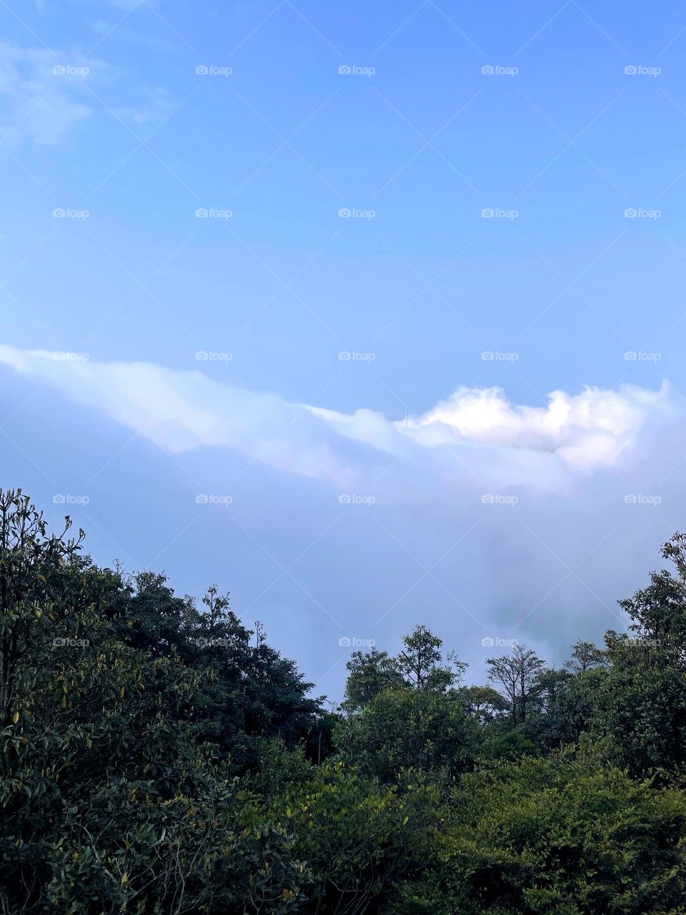 surrounded by clouds