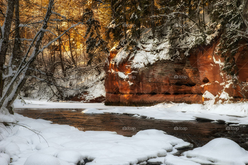 Winter wonderland. Landscape.