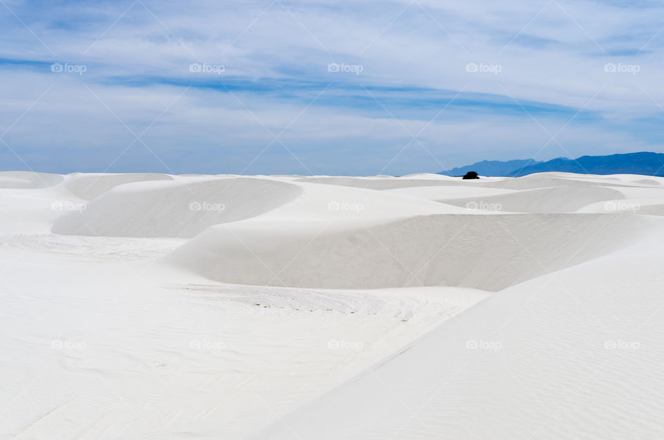 White Sands 