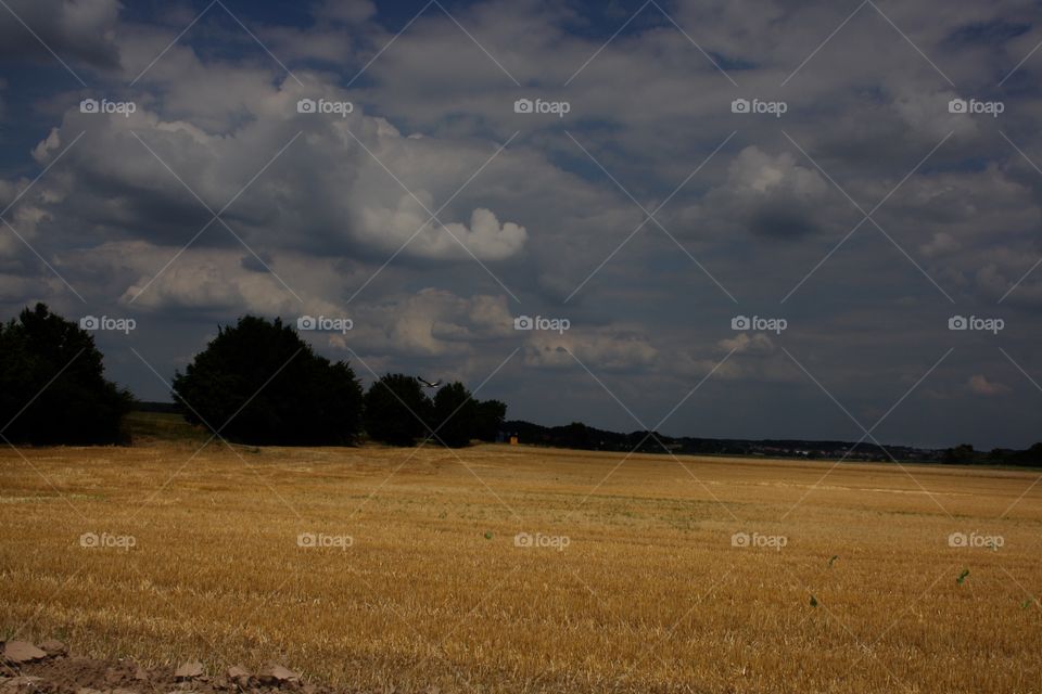 Storm Clouds over field